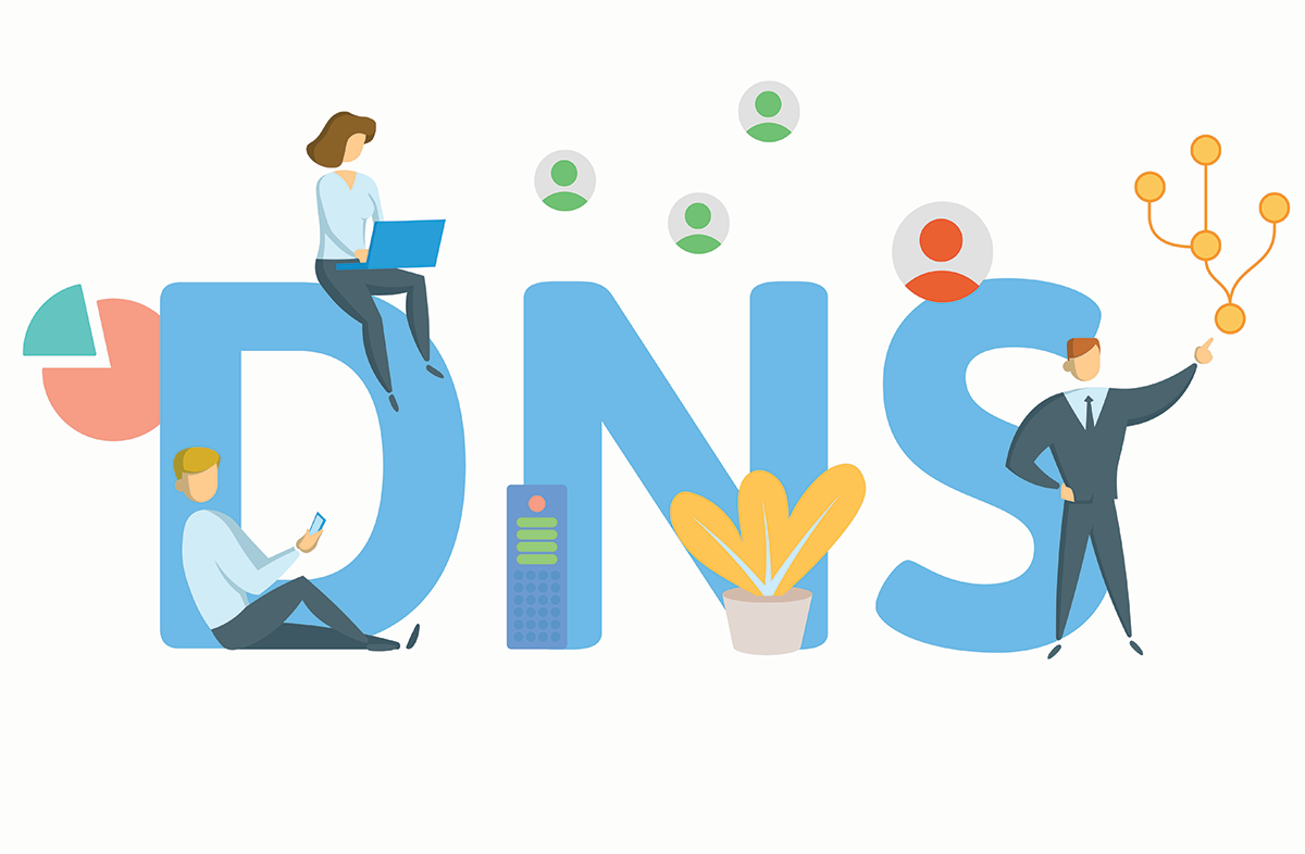 Website Management-Domain Name Server (DNS)